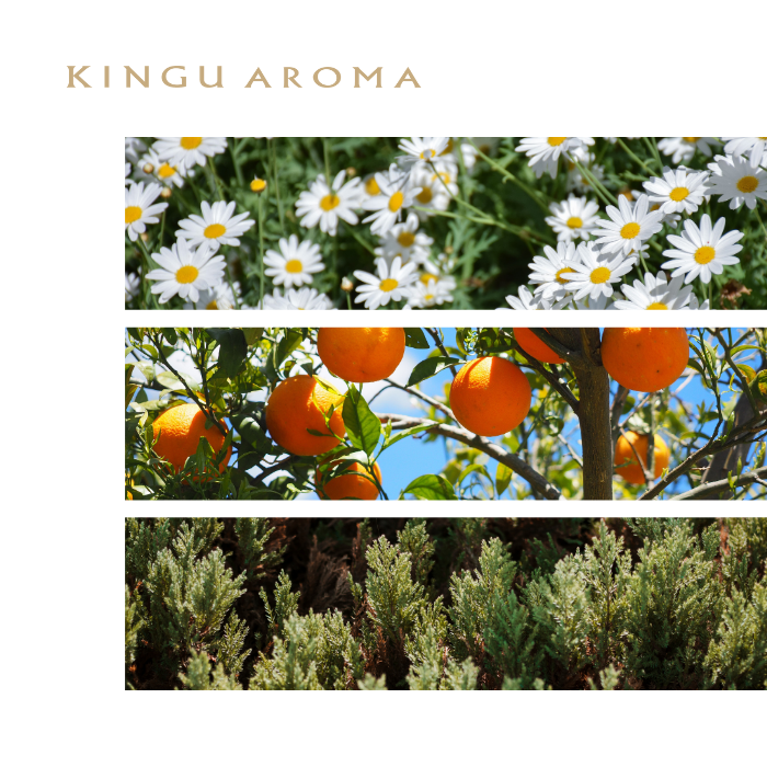 KINGU PREMIUM